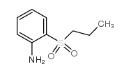 cas no 76697-58-0 is 2-propylsulfonylaniline