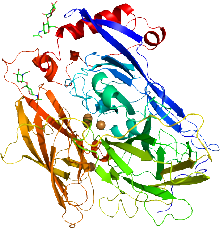 cas no 80619-01-8 is Oxidase bilirubin