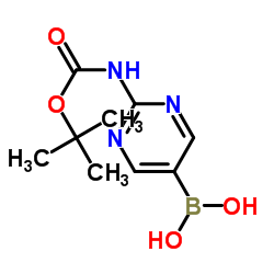 cas no 883231-25-2 is [2-[(tert-Butoxycarbonyl)amino]pyrimidin-5-yl]boronic acid