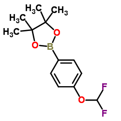 cas no 887757-48-4 is 2-(4-(DIFLUOROMETHOXY)PHENYL)-4,4,5,5-TETRAMETHYL-1,3,2-DIOXABOROLANE