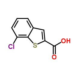 cas no 90407-16-2 is 7-Chloro-1-benzothiophene-2-carboxylic acid