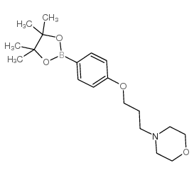 cas no 910462-33-8 is 4-(3-(4-(4,4,5,5-TETRAMETHYL-1,3,2-DIOXABOROLAN-2-YL)PHENOXY)PROPYL)MORPHOLINE